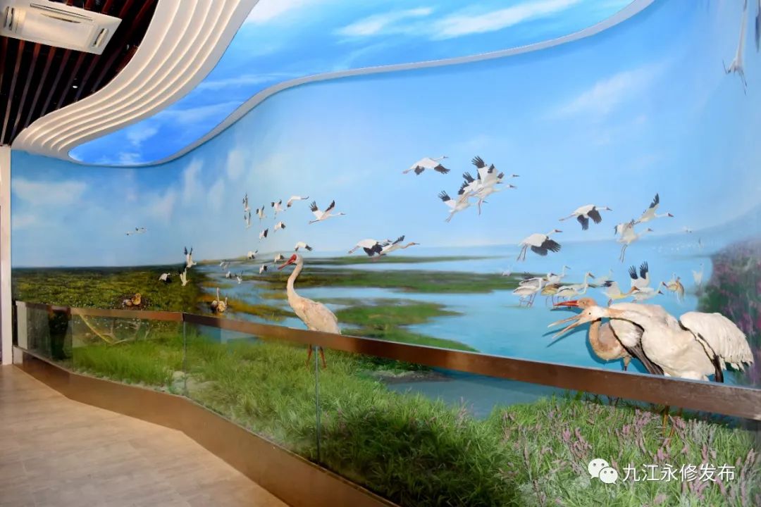 省文旅厅旅资委专家组来吴城候鸟小镇考察国家4a级旅游景区创建工作