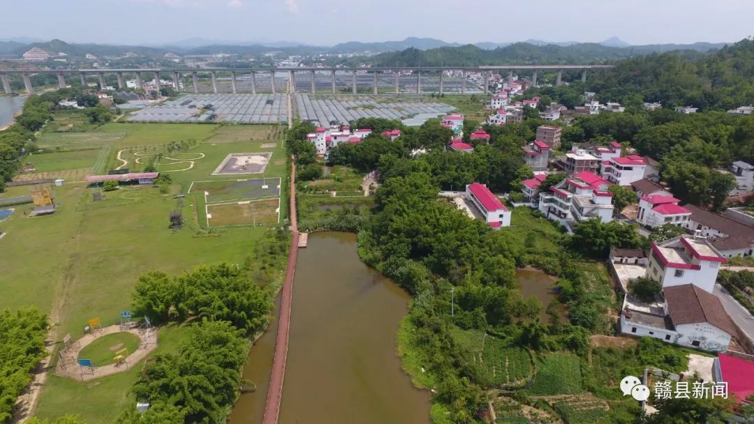 直播预告8月12日央视直播进江西赣县区江口镇河埠村赶紧下载直播app