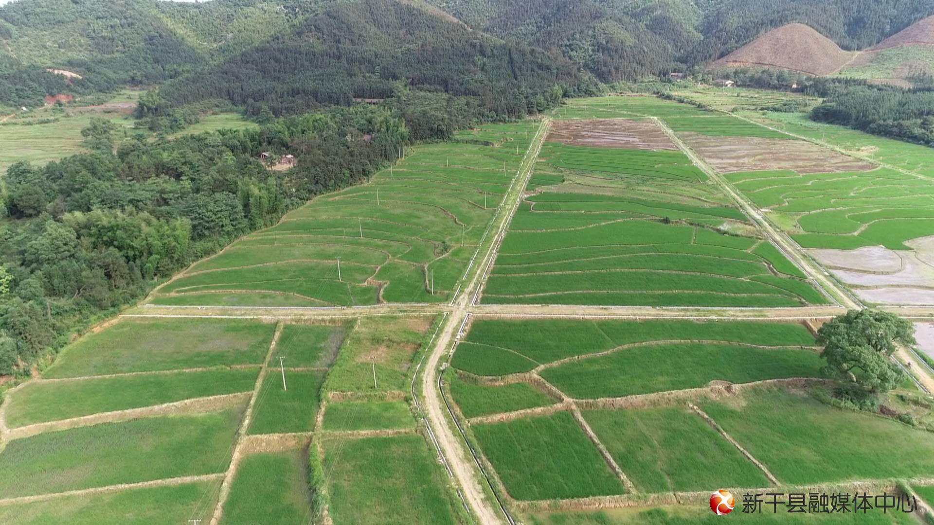 新干:高标准农田建设 助力粮食生产高效增收