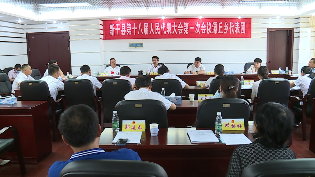 县领导杨二勇参加三湖镇代表团审议.