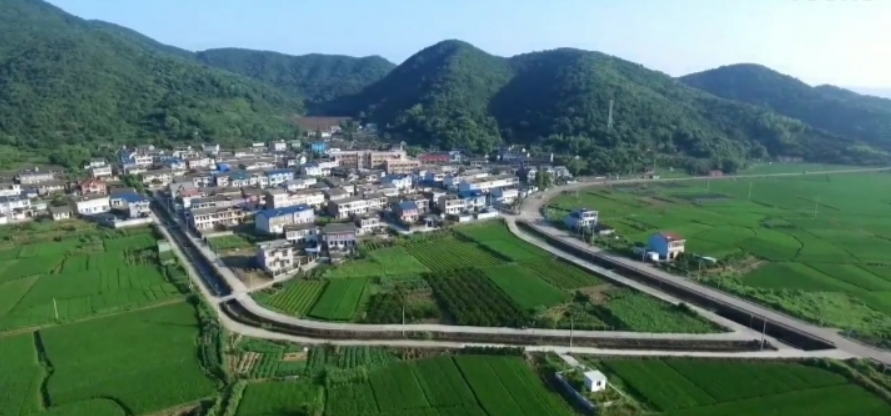 浙江省宁波市奉化区松岙镇大埠村