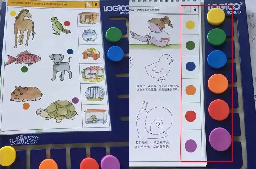 养娃省钱风向标:超性价比的德国启蒙神器《逻辑狗》终于返场啦!