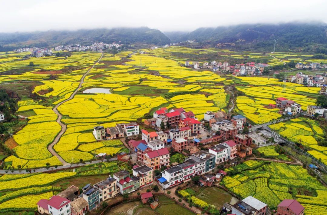 萍乡市上栗县赤山镇幕冲村