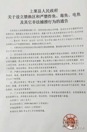 上栗县人民政府最新通告: 《关于设立禁渔区和严禁炸鱼,毒鱼,电鱼其它
