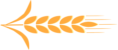 ͼƬ