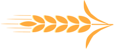 ͼƬ