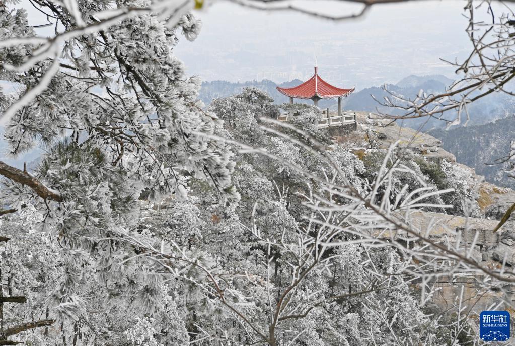 庐山风景区雪景 新华社记者 万象 摄