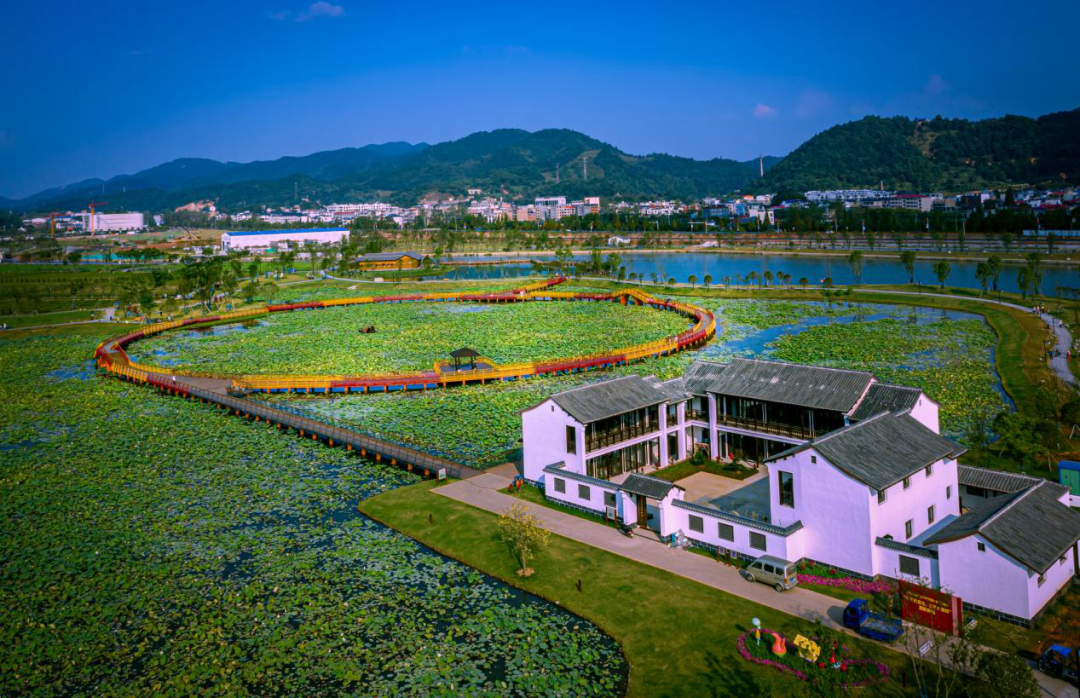 萍乡湿地,美出天际!