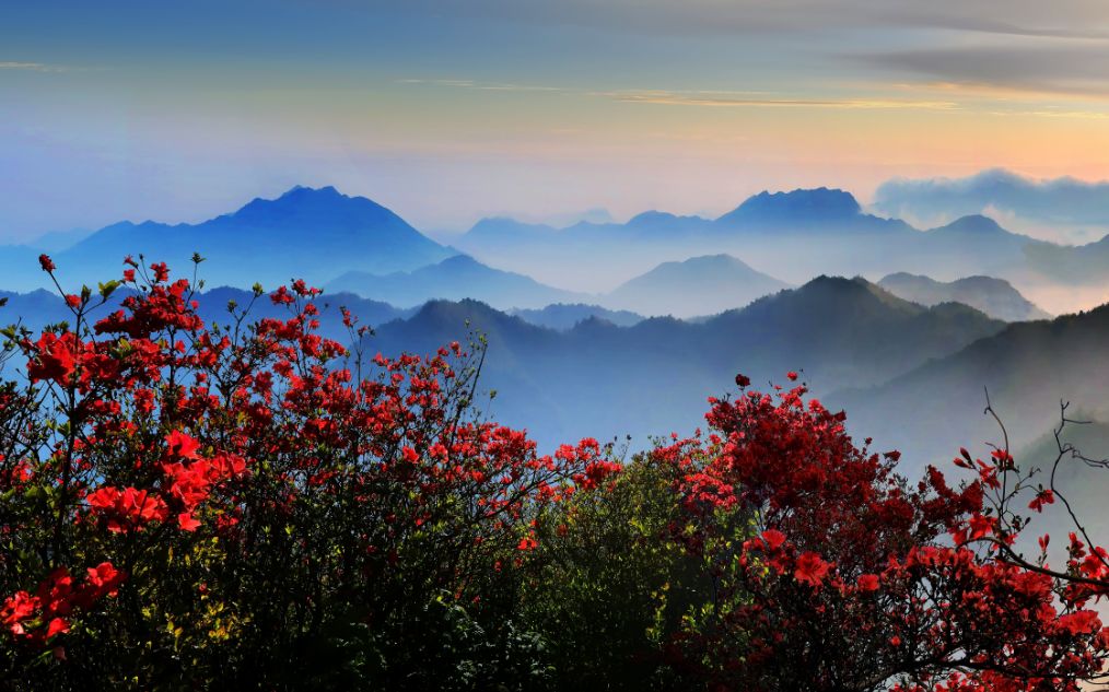 地址:江西省萍乡市湘东区白竺乡黄岗村 境内森林茂密,资源丰富,有