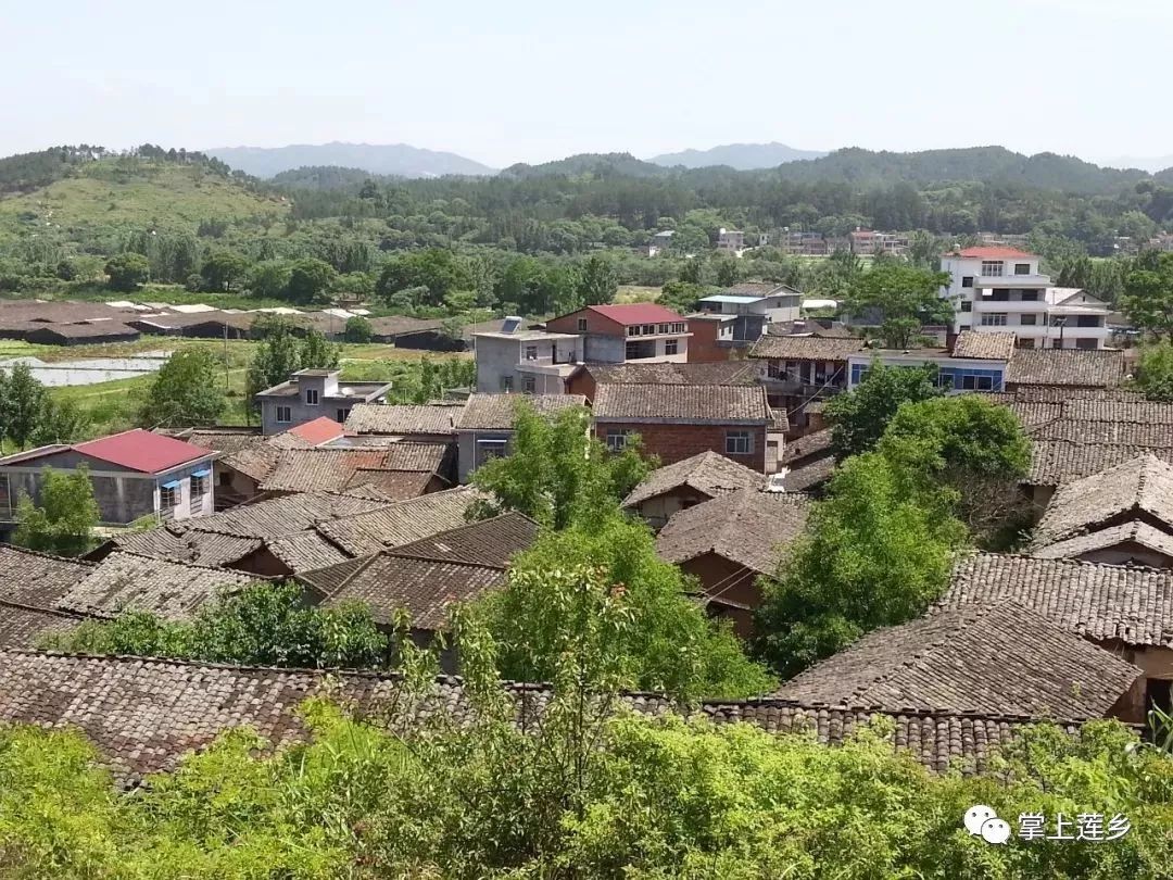 赤水镇杨坊村新貌如今的广昌农村风景优美,环境整洁不仅是香花湾"改头