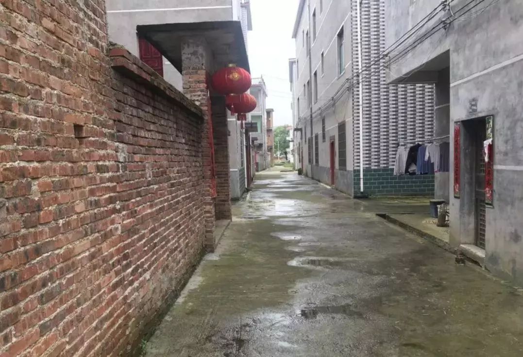 建设美丽乡村阜田镇这样做