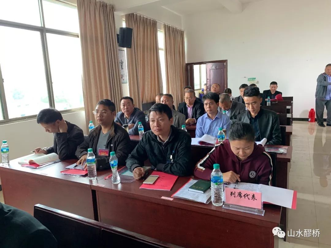 醪桥镇第五届人民代表大会第六次会议胜利召开
