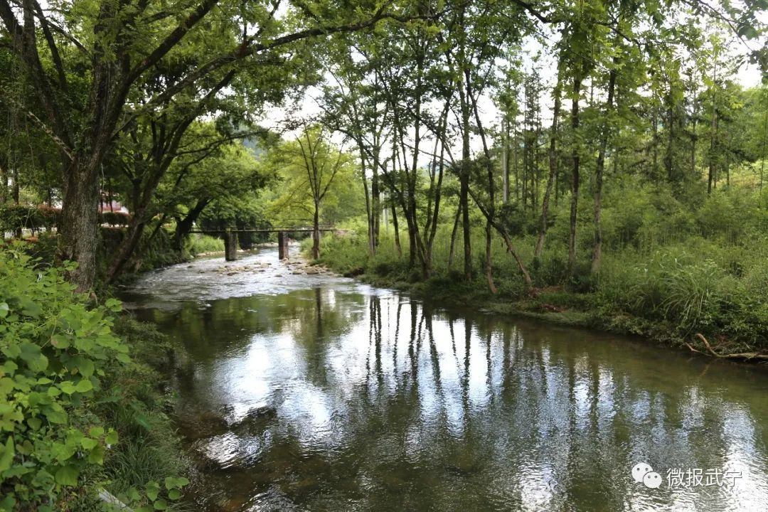 "到"绿掉吃"山村长水"吃山"变奏长水是个山村,位于江西省武宁县罗坪镇