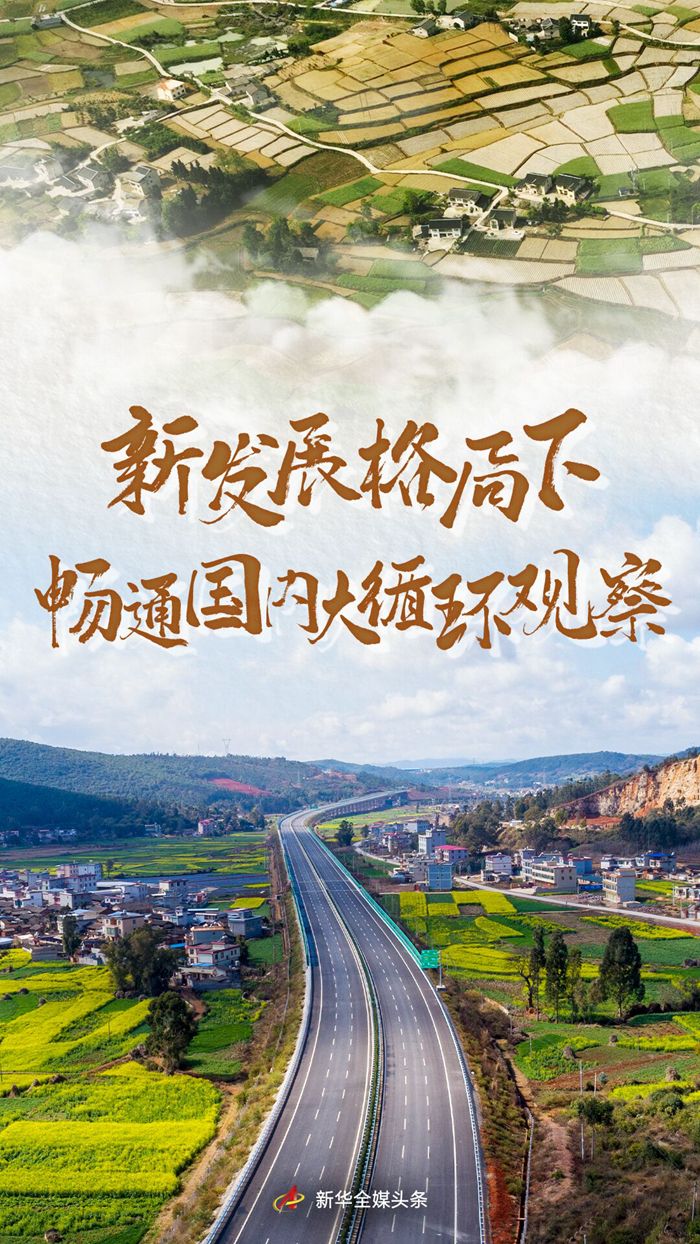 新发展格局下畅通国内大循环观察