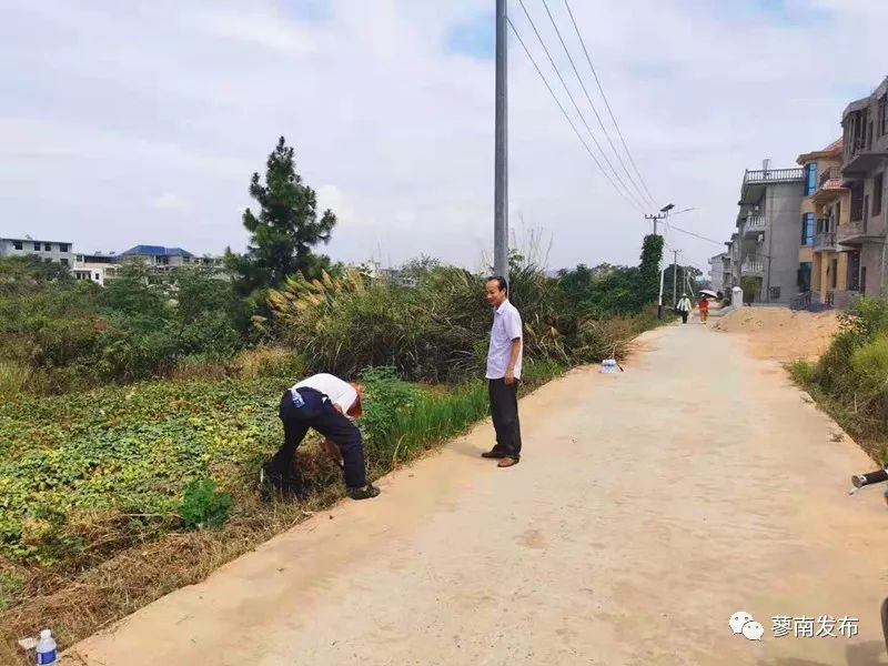 横岭村