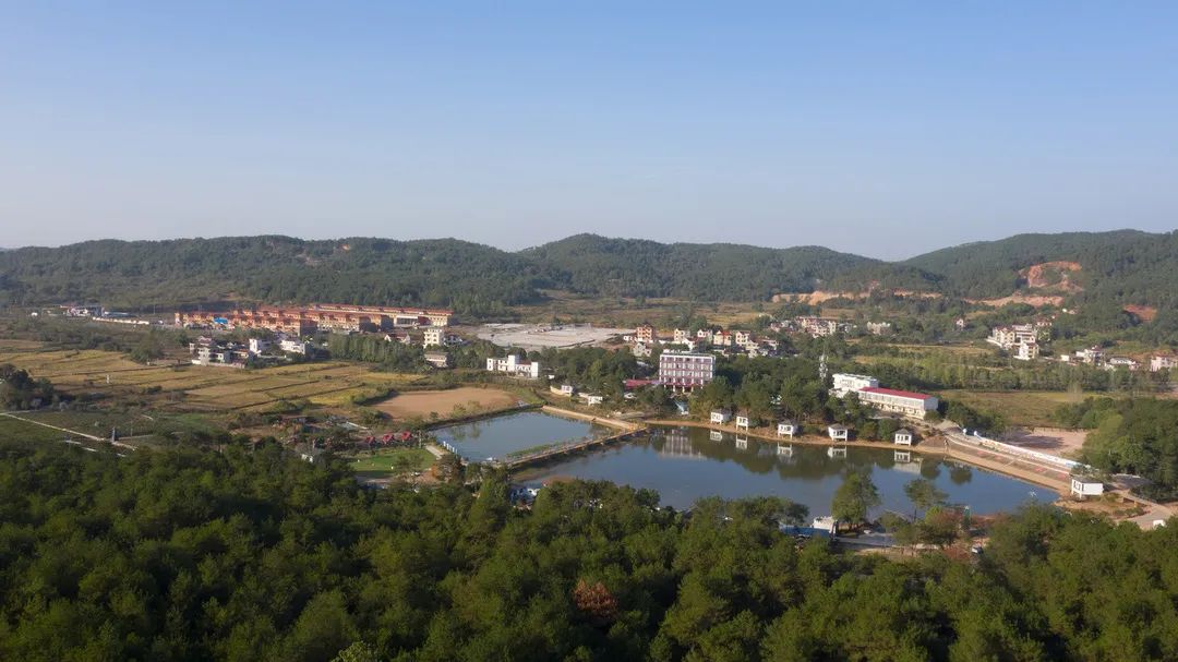喜讯!泰和县桃源渡假村正式加入吉安旅游惠民卡合作景区,游玩攻略附上