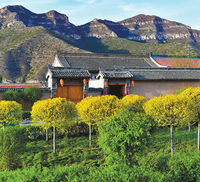 芝麻开花节节高山西岢岚县宋家沟村脱贫调查