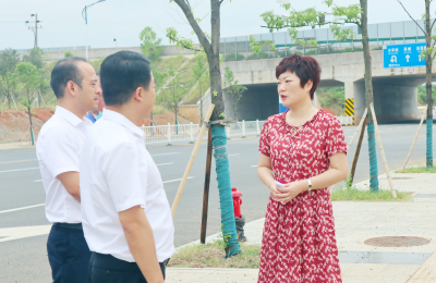 杨艳晖现场督查全县"两违"建房整治工作情况