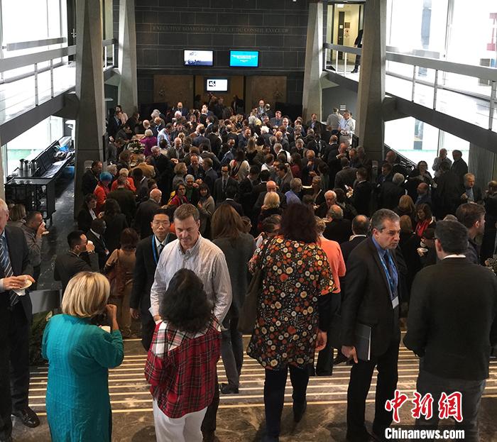图为论坛茶歇期间与会代表交流畅谈。<a target='_blank' href='http://www.chinanews.com/'>中新社</a>记者 德永健 摄