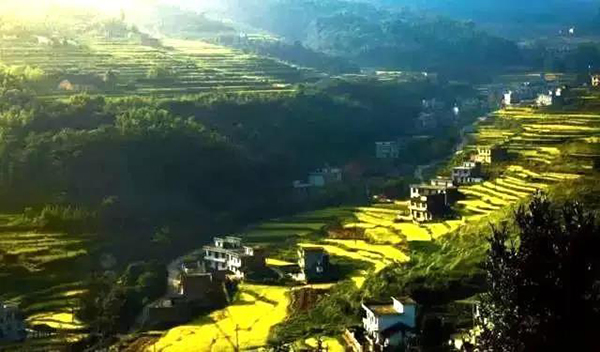 張佳坊鄉(xiāng)雜溪村