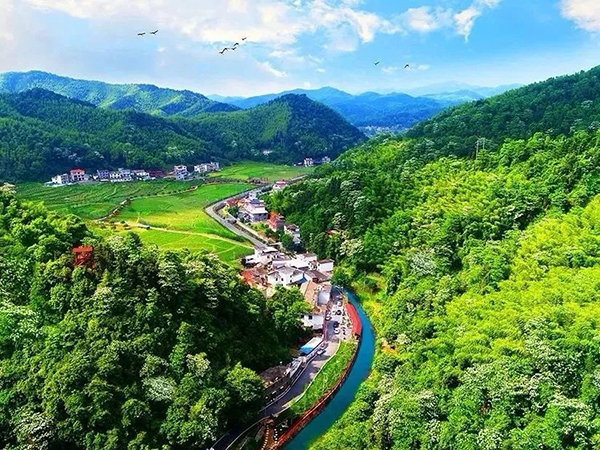 白竺鄉大豐村