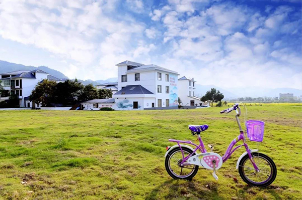麻山鎮桃源村