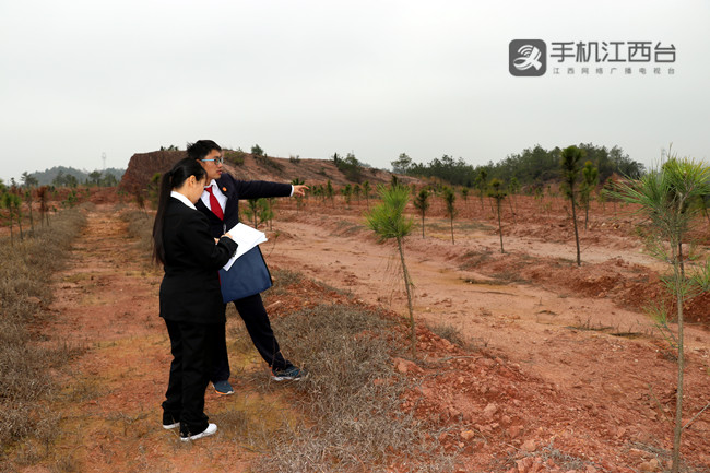 到非法占用农用地进行调查