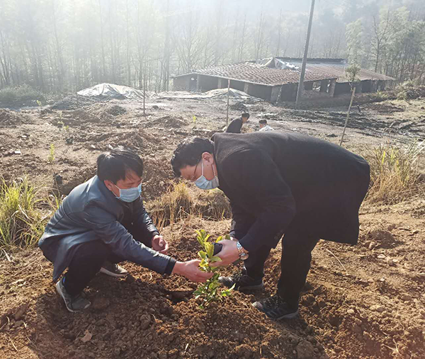 驻村第一书记肖南萍在果木基地查看育苗