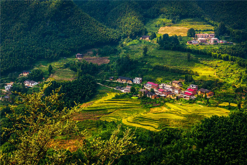 明月山温泉风景名胜区洪江镇塘佳山村