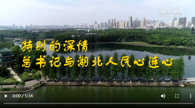 QQ截图20200526122836