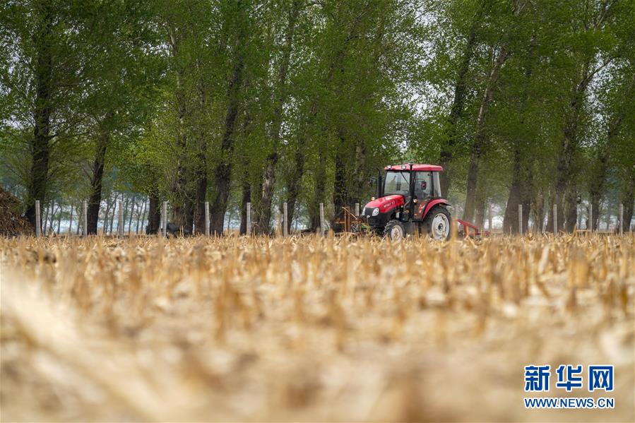 （在习近平新时代中国特色社会主义思想指引下——新时代新作为新篇章·习近平总书记关切事·图文互动）（3）让每一寸耕地都成为丰收的沃土——我国加强耕地保护推进“藏粮于地”