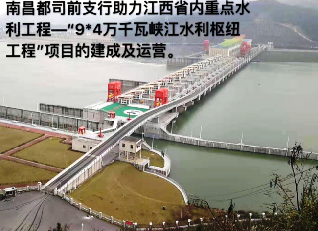 图片7