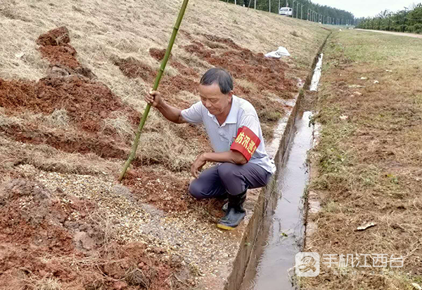 刘胜银在查险（江西网络台记者周学军摄）