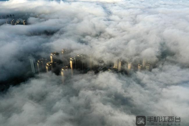 微信图片_20200719110118