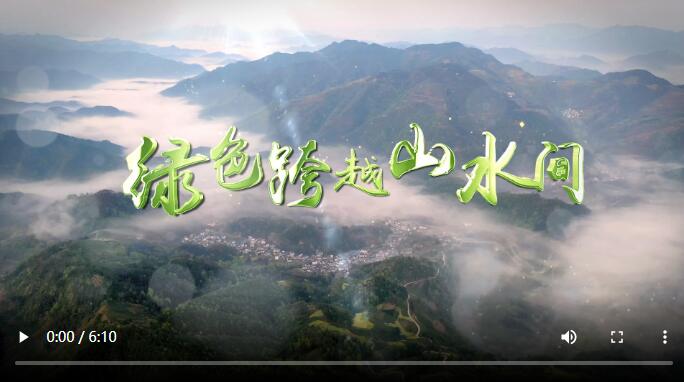 QQ截图20200814125154