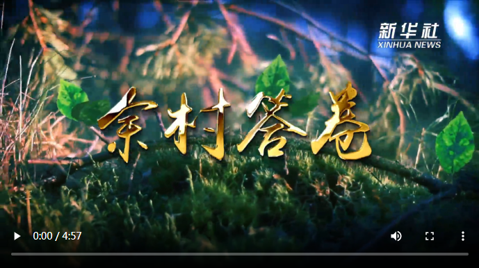 TIM截图20200815085551