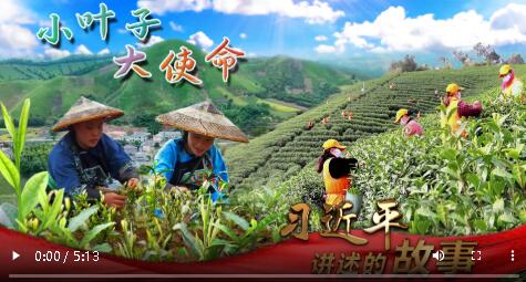 QQ截图20200803193418