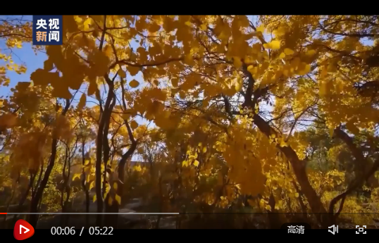 微信截图_20200922123449