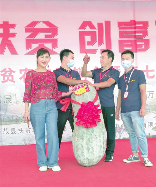 万载：“冬瓜王”亮相 重达81.5公斤（图）