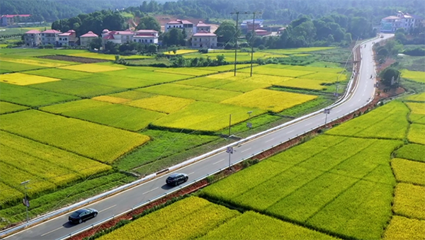 绿行旅游公路