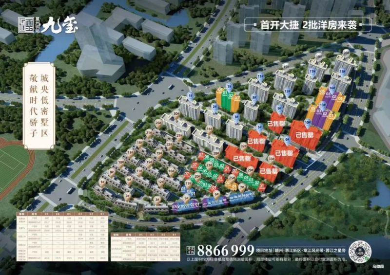 图片8