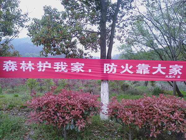 微信图片_202104021206551