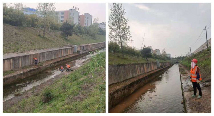 净化河道水域