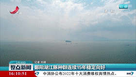 鄱阳湖江豚种群连续15年稳定向好