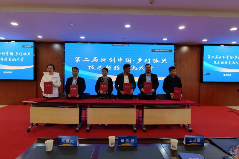图片9