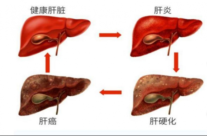 微信图片_20230619100138