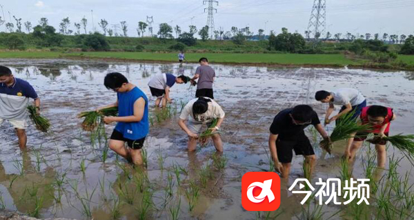 QQ截图20230718223755 拷贝