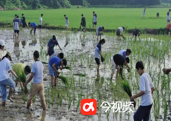 QQ截图20230718223707 拷贝