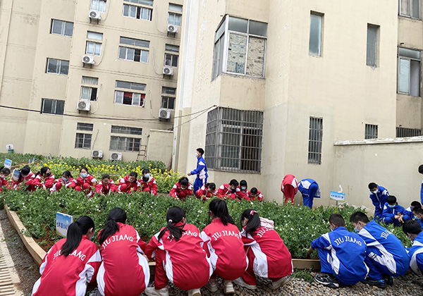 九江市十一中学生在劳动实践基地劳动