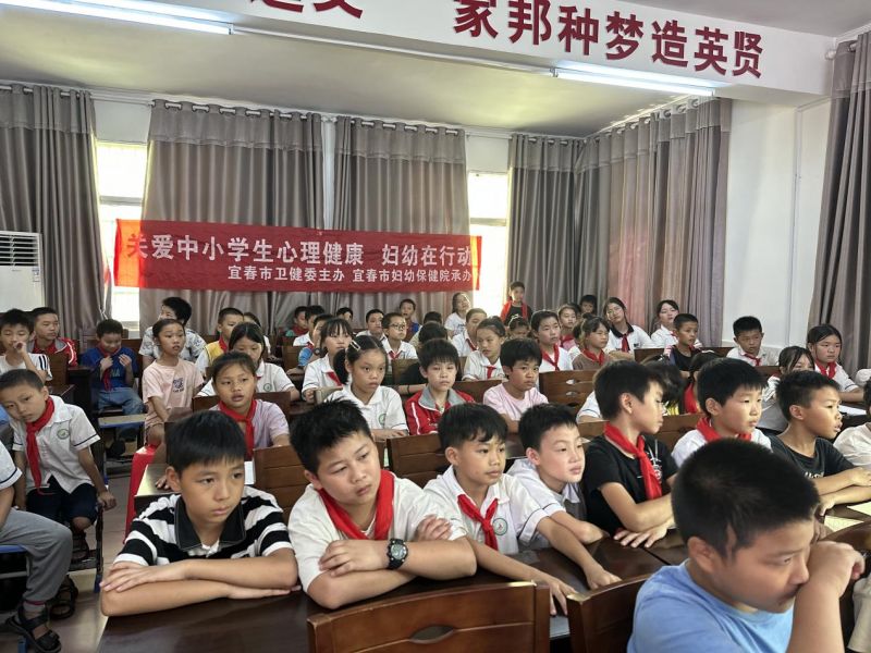 图片5